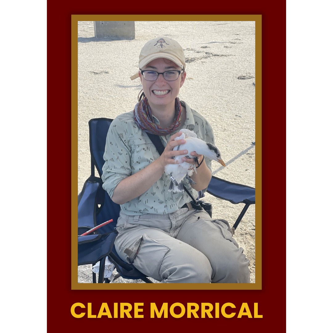 Claire Morrical
